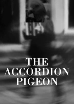 The Accordion Pigeon