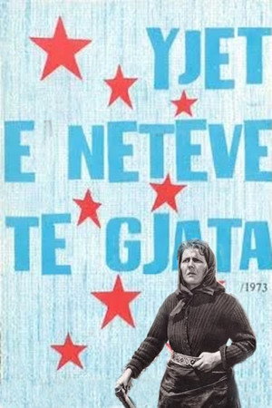 Yjet e netëve të gjata
