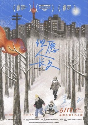 但愿人长久 poszter