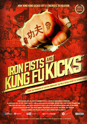 Iron Fists and Kung Fu Kicks poszter