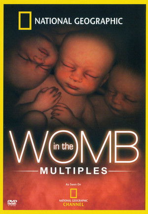 In the Womb: Multiples poszter