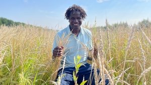 Manger kép