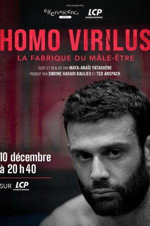 Homo virilus : la fabrique du mâle-être poszter
