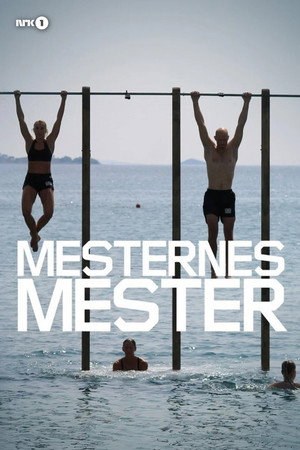 Mesternes mester poszter