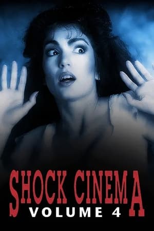 Shock Cinema: Volume Four poszter