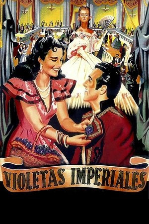 Violetas imperiales