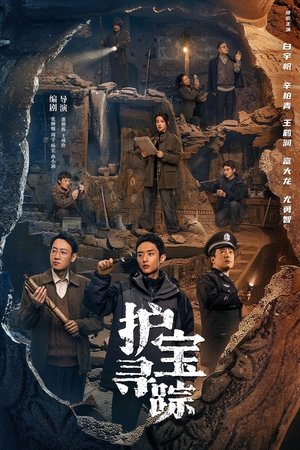 护宝寻踪 poszter
