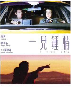 一見鍾情 poszter