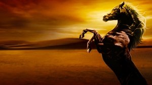 A fekete paripa - Az első kaland háttérkép