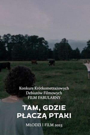 Tam, gdzie płaczą ptaki