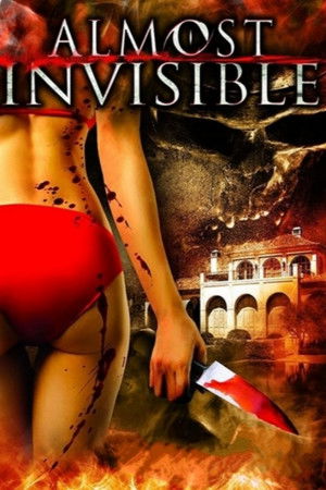 Almost Invisible poszter