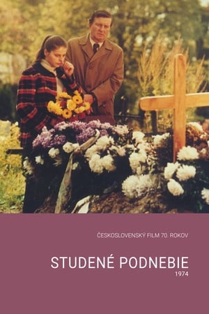 Studené podnebie poszter