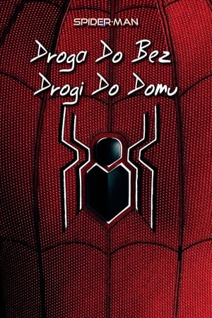 Spider-Man: All Roads Lead to No Way Home poszter