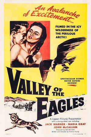 Valley of the Eagles poszter