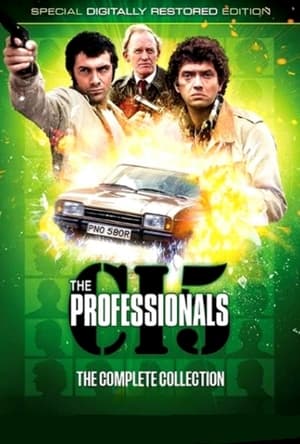 The Professionals poszter