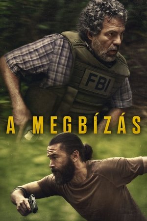 A megbízás