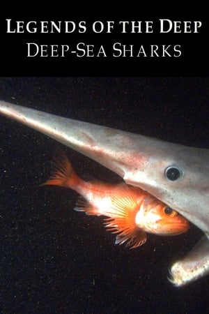 Legends of the Deep: Deep Sea Sharks poszter