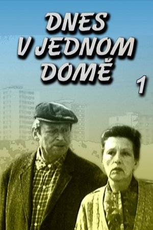 Dnes v jednom domě poszter