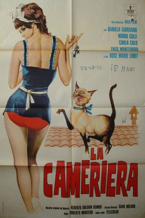 La cameriera poszter