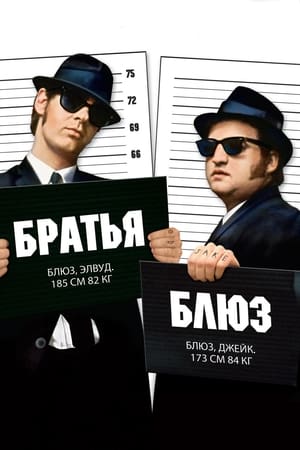 The Blues Brothers - A blues testvérek poszter