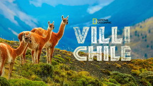 Vad Chile kép