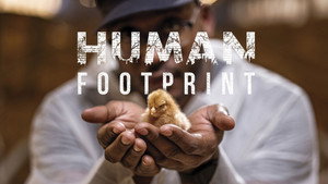 Human Footprint kép