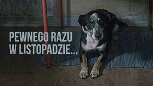 Pewnego razu w listopadzie... háttérkép