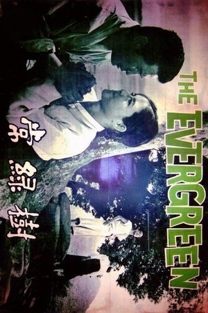 상록수 poszter