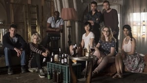 Sense8 kép