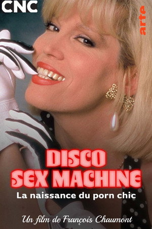 Disco Sex Machine : La naissance du porn chic poszter