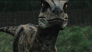 Raptor Attack háttérkép
