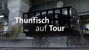 Thunfisch auf Tour háttérkép