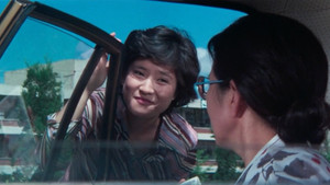 숲과 늪 háttérkép