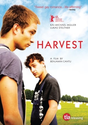 Harvest poszter