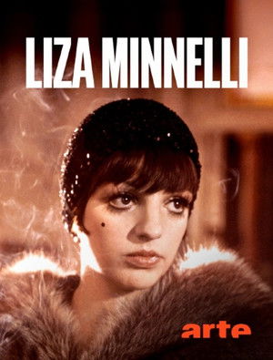 Liza Minnelli, la dernière héritière d'Hollywood poszter