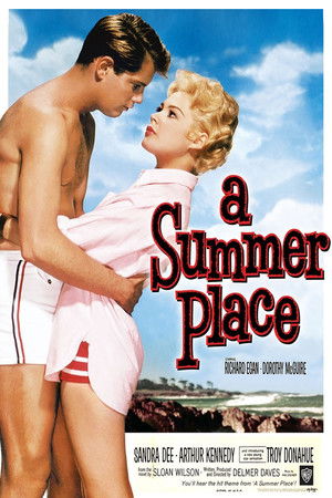 A Summer Place poszter