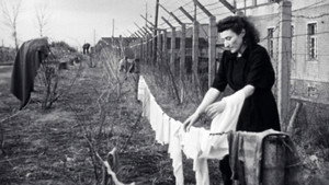 Les survivants, l'impossible départ après la Shoah háttérkép
