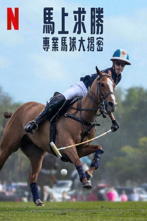 Lovaspóló poszter
