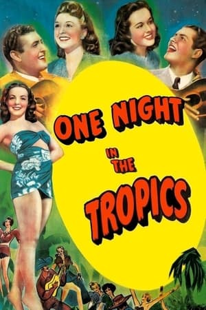 One Night in the Tropics poszter