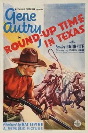 Round-Up Time in Texas poszter