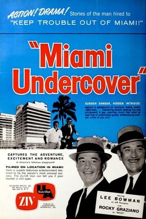 Miami Undercover poszter