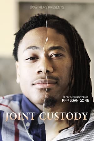 Joint Custody poszter