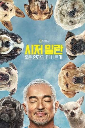 Cesar Millan: Jó gazdi, jó kutya poszter