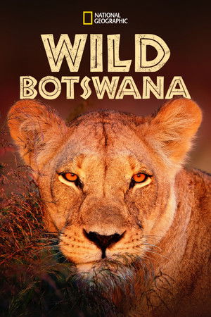 Vad Botswana poszter