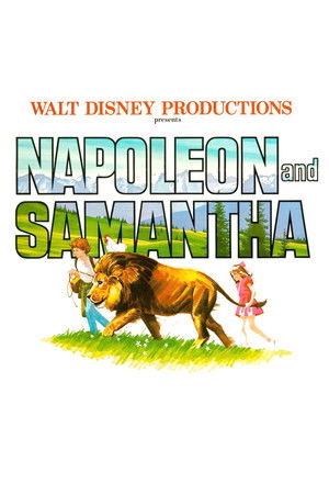 Napoleon és Samantha poszter