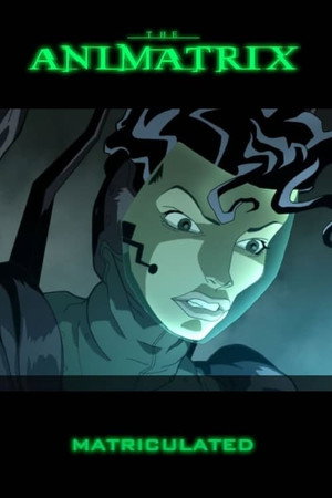 The Animatrix poszter