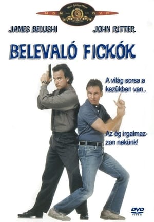 Belevaló fickók