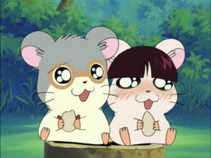 とっとこハム太郎 Season 1 Ep.93 93. epizód