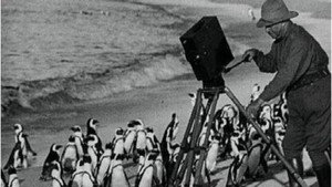 With Cherry Kearton in the Jungle háttérkép