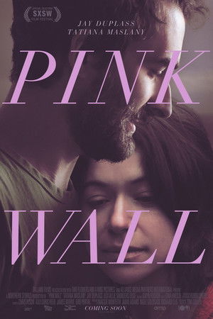 Pink Wall poszter